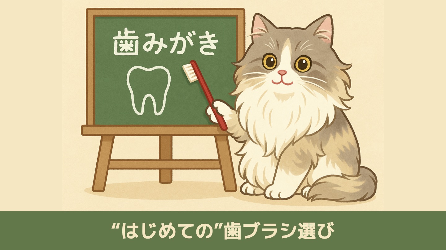 猫の“はじめて”の歯ブラシを選ぼう