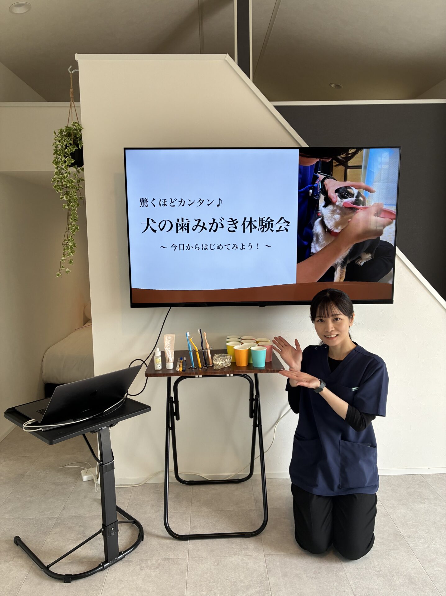 ソラナリゾート株式会社様主催 Fan Fun Day 2025 犬の歯みがきセミナー