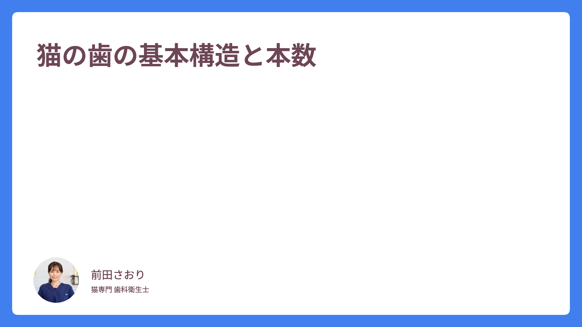 猫の歯の基本構造と本数