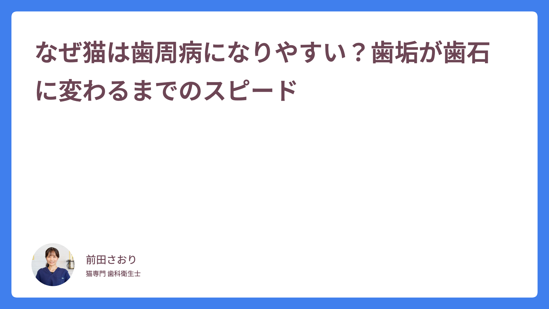なぜ猫は歯周病になりやすい？歯垢が歯石に変わるまでのスピード